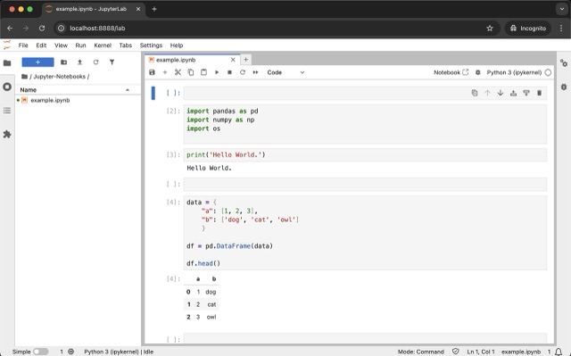 Screenshot of Jupyter notebook